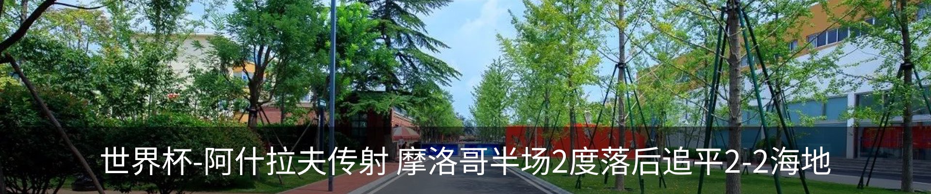 资讯动态