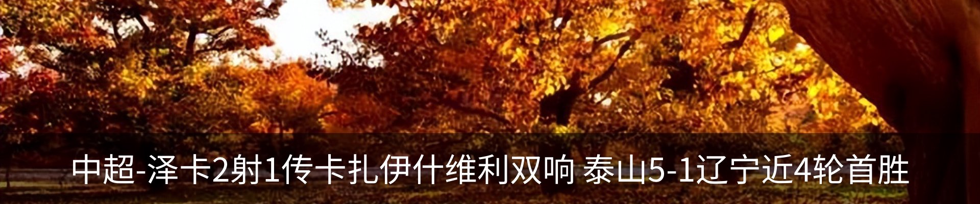资讯动态