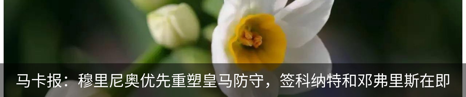 资讯动态